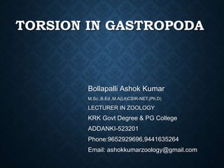 TORSION IN GASTROPODA
Bollapalli Ashok Kumar
M.Sc.,B.Ed.,M.A(Lit)CSIR-NET,(Ph.D)
LECTURER IN ZOOLOGY
KRK Govt Degree & PG College
ADDANKI-523201
Phone:9652929696,9441635264
Email: ashokkumarzoology@gmail.com
 