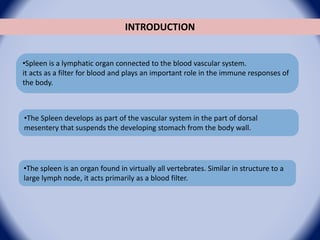 Torsion of spleen | PPTX