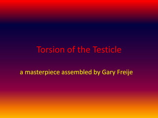 Torsion of the Testicle a masterpiece assembled by Gary Freije 