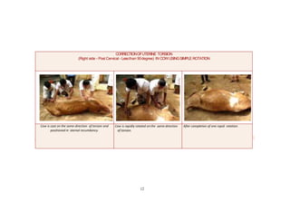 torsio_uterii.pptx
