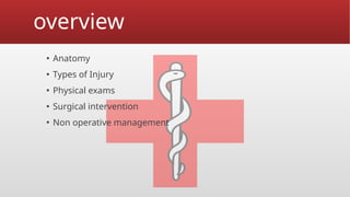 torso trauma.pptx torso trauma in humans medicine an treatment | PPTX