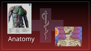 torso trauma.pptx torso trauma in humans medicine an treatment | PPTX