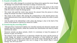 Tort.pptx EXTRA CONTARCTUAL LIABILITY LAWTO | PPTX
