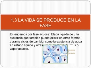1.3 LA VIDA SE PRODUCE EN LA
FASE
Entendemos por fase acuosa: Etapa líquida de una
sustancia que también puede existir en otras formas
durante ciclos de cambio, como la existencia de agua
en estado líquido y otras veces en forma de hielo o
vapor acuoso.
 