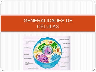 GENERALIDADES DE
CÉLULAS
 