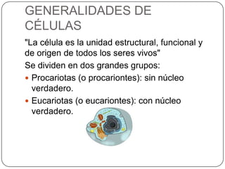 GENERALIDADES DE
CÉLULAS
"La célula es la unidad estructural, funcional y
de origen de todos los seres vivos"
Se dividen en dos grandes grupos:
 Procariotas (o procariontes): sin núcleo
verdadero.
 Eucariotas (o eucariontes): con núcleo
verdadero.
 