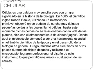 TEORÍA
CELULAR
Célula, es una palabra muy sencilla pero con un gran
significado en la historia de la biología. En 1665, el científico
inglés Robert Hooke, utilizando un microscopio
primitivo, observó en un pedazo de corcho muy delgado
pequeñas celdas a las cuales llamó células, hasta este
momento dichas celdas no se relacionaban con la vida de las
plantas, sino con el almacenamiento de ciertos "jugos". Desde
aquí el microscopio comenzó a ser una herramienta esencial
en el ámbito científico de la época y en el desarrollo de la
biología en general. Luego, muchos otros científicos en otros
países durante diecisiete décadas y utilizando el
microscopio, lograron perfeccionar el diseño de este
instrumento lo que permitió una mejor visualización de las
células.
 