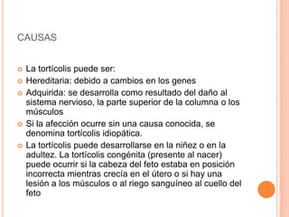 CAUSAS
 La tortícolis puede ser:
 Hereditaria: debido a cambios en los genes
 Adquirida: se desarrolla como resultado del daño al
sistema nervioso, la parte superior de la columna o los
músculos
 Si la afección ocurre sin una causa conocida, se
denomina tortícolis idiopática.
 La tortícolis puede desarrollarse en la niñez o en la
adultez. La tortícolis congénita (presente al nacer)
puede ocurrir si la cabeza del feto estaba en posición
incorrecta mientras crecía en el útero o si hay una
lesión a los músculos o al riego sanguíneo al cuello del
feto
 