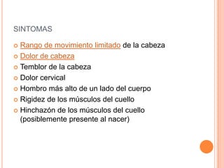 SINTOMAS
 Rango de movimiento limitado de la cabeza
 Dolor de cabeza
 Temblor de la cabeza
 Dolor cervical
 Hombro más alto de un lado del cuerpo
 Rigidez de los músculos del cuello
 Hinchazón de los músculos del cuello
(posiblemente presente al nacer)
 