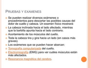 PRUEBAS Y EXAMENES
 Se pueden realizar diversos exámenes o
procedimientos para descartar las posibles causas del
dolor de cuello y cabeza. Un examen físico mostrará:
 La cabeza inclinada hacia el lado afectado, mientras
que la barbilla apunta hacia el lado contrario.
 Acortamiento de los músculos del cuello.
 Toda la cabeza tira y gira hacia un lado (en casos más
graves).
 Los exámenes que se pueden hacer abarcan:
 Tomografía computarizada del cuello.
 Electromiografía (EMG) para ver cuáles músculos están
más afectados.
 Resonancia magnética del cerebro.
 