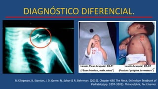 DIAGNÓSTICO DIFERENCIAL.
R. Kliegman, B. Stanton, J. St Geme, N. Schor & R. Behrman. (2016). Chapter 680 The Neck. En Nelson Textbook of
Pediatrics(pp. 3297-3301). Philadelphia, PA: Elsevier.
 