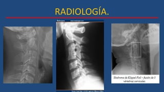 RADIOLOGÍA.
 