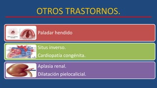 OTROS TRASTORNOS.
Paladar hendido
Situs inverso.
Cardiopatía congénita.
Aplasia renal.
Dilatación pielocalicial.
 