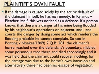 Tort Final Presentation