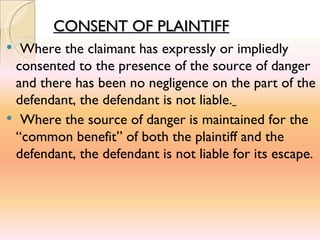 Tort Final Presentation