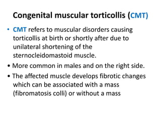 Congenital muscular torticollis (CMT)
• CMT refers to muscular disorders causing
torticollis at birth or shortly after due to
unilateral shortening of the
sternocleidomastoid muscle.
• More common in males and on the right side.
• The affected muscle develops fibrotic changes
which can be associated with a mass
(fibromatosis colli) or without a mass
 