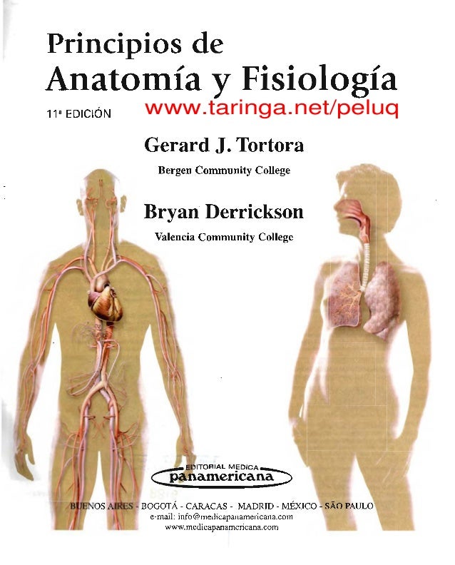 Anatomia Y Fisiologia Humana