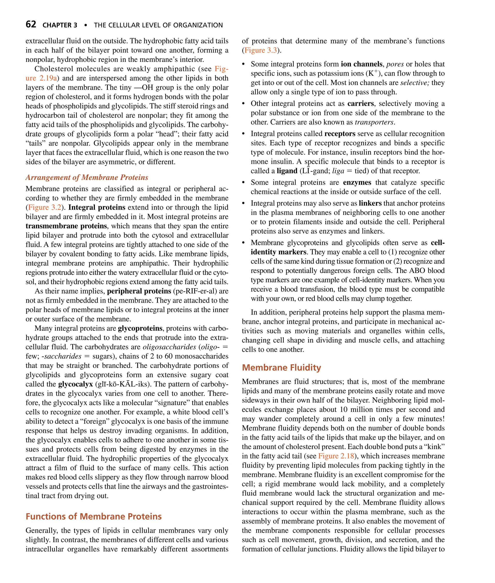Tortora PRINCIPLES OF ANATOMY AND PHYSIOLOGY - Tortora - 14th Ed.pdf