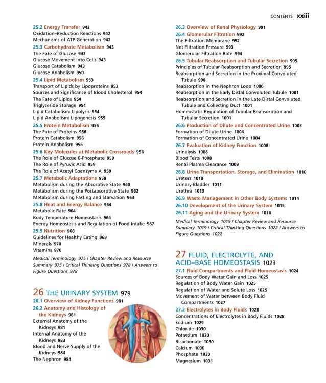 Principle visual data 3