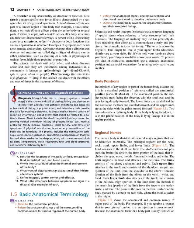 Principle visual data 7