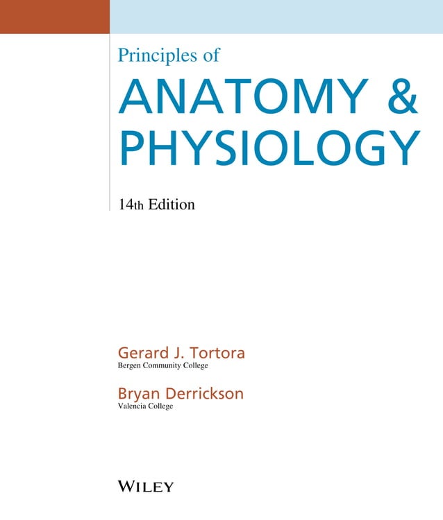 Principle visual data 4