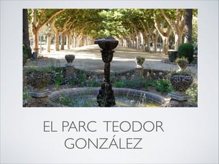 EL PARC TEODOR
GONZÁLEZ
 