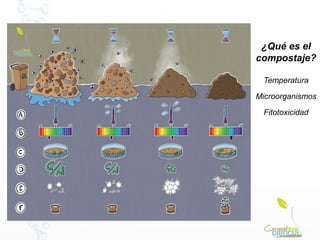 ¿Qué es el
compostaje?
Temperatura
Microorganismos
Fitotoxicidad
 
