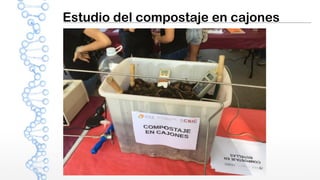 Estudio del compostaje en cajones
 