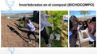 Invertebrados en el compost (BICHOCOMPO)
 