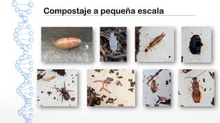 Compostaje a pequeña escala
 