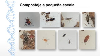 Compostaje a pequeña escala
 