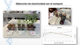 Obtención de electricidad con el compost
 