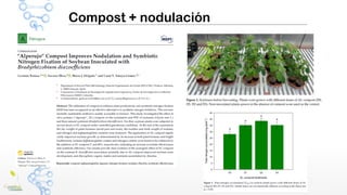Compost + nodulación
 