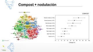 Compost + nodulación
 