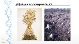 ¿Qué es el compostaje?
 