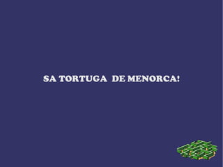 SA TORTUGA DE MENORCA!
 