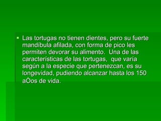 Las tortugas no tienen dientes, pero su fuerte mandíbula afilada, con forma de pico les permiten devorar su alimento.  Una de las características de las tortugas,  que varía según a la especie que pertenezcan, es su longevidad, pudiendo alcanzar hasta los 150 años de vida.   