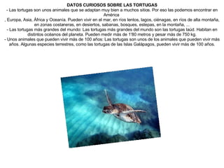 DATOS CURIOSOS SOBRE LAS TORTUGAS - Las tortugas son unos animales que se adaptan muy bien a muchos sitios. Por eso las podemos encontrar en América   , Europa, Asia, África y Oceanía. Pueden vivir en el mar, en ríos lentos, lagos, ciénagas, en ríos de alta montaña, en zonas costaneras, en desiertos, sabanas, bosques, estepas, en la montaña, ... - Las tortugas más grandes del mundo: Las tortugas más grandes del mundo son las tortugas laúd. Habitan en distintos océanos del planeta. Pueden medir más de 1'80 metros y pesar más de 750 kg. - Unos animales que pueden vivir más de 100 años: Las tortugas son unos de los animales que pueden vivir más años. Algunas especies terrestres, como las tortugas de las Islas Galápagos, pueden vivir más de 100 años. 