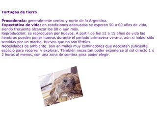 Tortugas de tierra   Procedencia:  generalmente centro y norte de la Argentina. Expectativa de vida:  en condiciones adecuadas se esperan 50 a 60 años de vida, siendo frecuente alcanzar los 80 o aún más. Reproducción: se reproducen por huevos. A partir de los 12 a 15 años de vida las hembras pueden poner huevos durante el período primavera verano, aún si haber sido servidas por un macho, huevos que no son fértiles. Necesidades de ambiente: son animales muy caminadores que necesitan suficiente espacio para recorrer y explorar. También necesitan poder exponerse al sol directo 1 o 2 horas al menos, con una zona de sombra para poder elegir. 