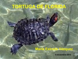 TORTUGA DE FLORIDA

María Estrada Vázquez
4-diciembre-2013

 