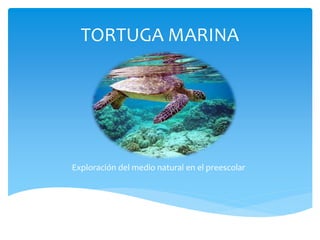 TORTUGA MARINA
Exploración del medio natural en el preescolar
 