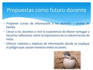  Proponer cursos de información a los alumnos y padres de
familia
 Llevar a los alumnos a vivir la experiencia de liberar tortugas y
hacerlos reflexionar sobre la importancia de la sobrevivencia de
estas.
 Ofrecer volantes y trípticos de información donde se explique
el peligro que causan nuestras malas acciones.
Propuestas como futuro docente
 