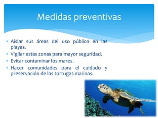  Aislar sus áreas del uso público en las
playas.
 Vigilar estas zonas para mayor seguridad.
 Evitar contaminar los mares.
 Hacer comunidades para el cuidado y
preservación de las tortugas marinas.
Medidas preventivas
 