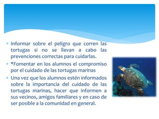  Informar sobre el peligro que corren las
tortugas si no se llevan a cabo las
prevenciones correctas para cuidarlas.
 *Fomentar en los alumnos el compromiso
por el cuidado de las tortugas marinas
 Una vez que los alumnos estén informados
sobre la importancia del cuidado de las
tortugas marinas, hacer que informen a
sus vecinos, amigos familiares y en caso de
ser posible a la comunidad en general.
 