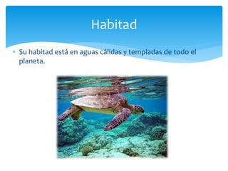  Su habitad está en aguas cálidas y templadas de todo el
planeta.
Habitad
 