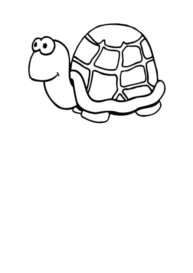 Tortuga Para Colorear