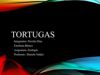 TORTUGAS
Integrantes: Nicolás Díaz
Estefanía Blanco
Asignatura: Zoología
Profesora : Daniela Valdez
 