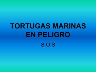 TORTUGAS MARINAS
   EN PELIGRO
      S.O.S
 