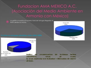 La gráfica muestra el número total de tortugas llegadas al
         AMA desde sus inicios.




% éxito en tortugas admitidas vivas 1994-2009




                               índice de recuperacion de tortugas bobas
                               admitidas          vivas          al        cram.
                               la gran mayoría son tratadas y liberadas de nuevo
                               al mar.
 