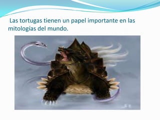Las tortugas tienen un papel importante en las
mitologías del mundo.
 